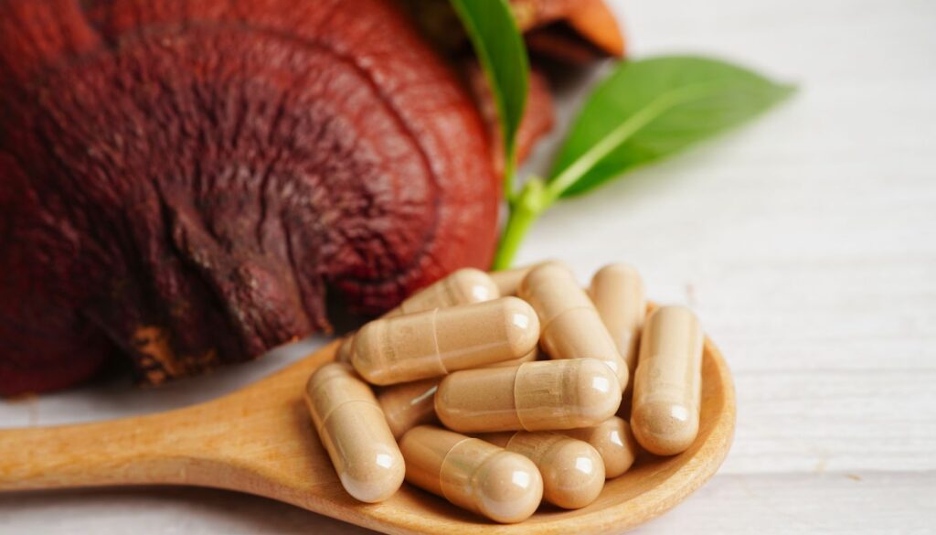 San Diego Magazine's Top Picks Find the Best Supplements For Mushrooms