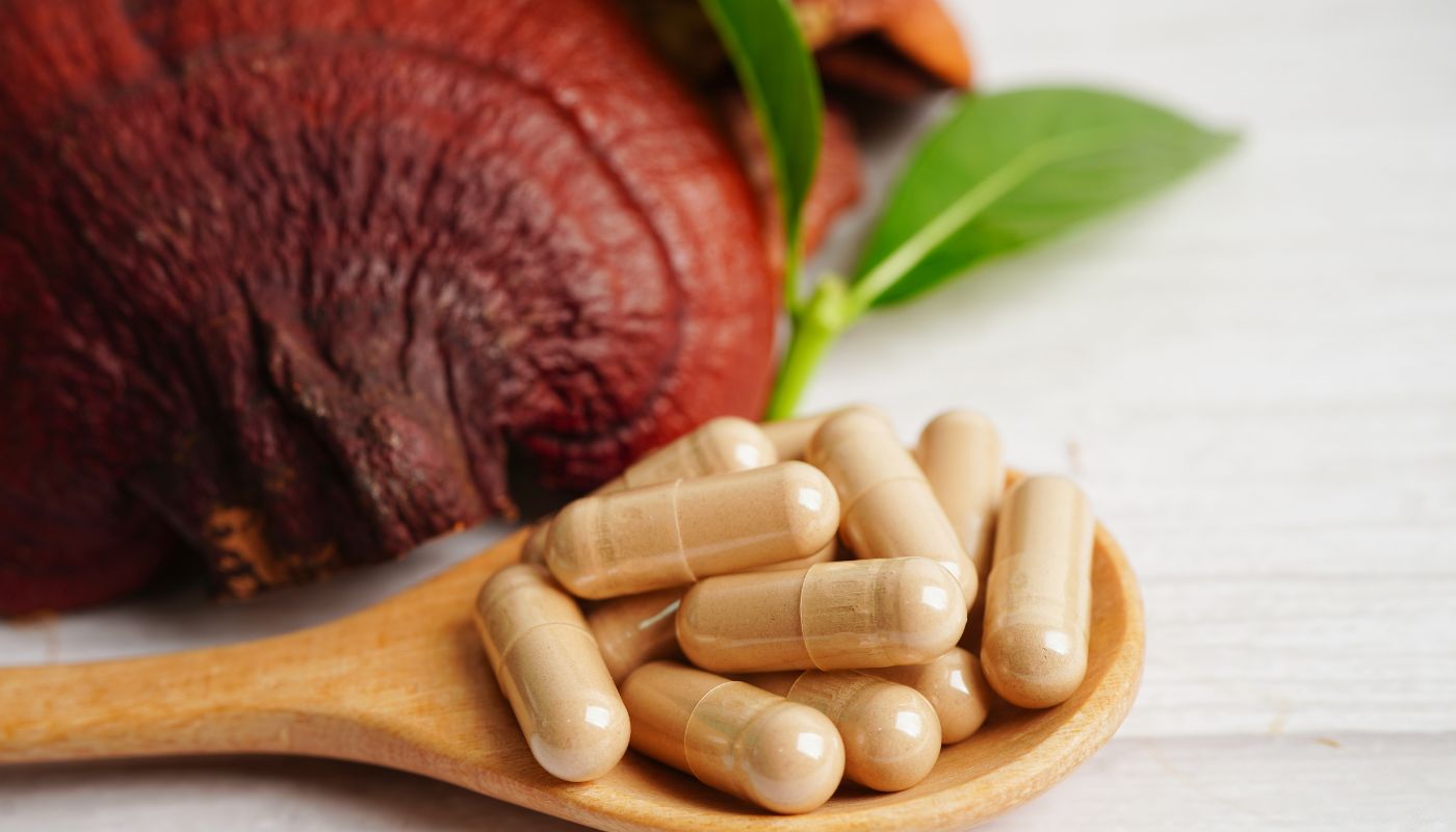 San Diego Magazine's Top Picks Find the Best Supplements For Mushrooms